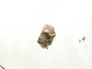 lot 42 image: Genuine Piece of the Great Pyramid, Cheops (Khufu)