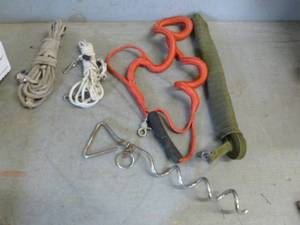 lot 173 image: Leashes
