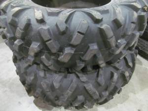 lot 175 image: bighorn tires