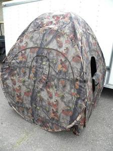Sportsman 234