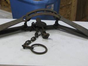 lot 57 image: Bear Trap