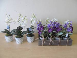 Sullivan gifts
