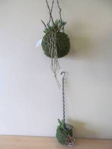 Kokedama planters