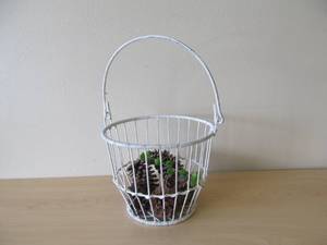 egg basket pinecones