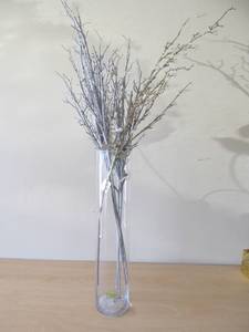 vases, decor branches