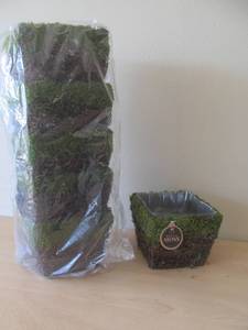 Bella Moss Floral pots