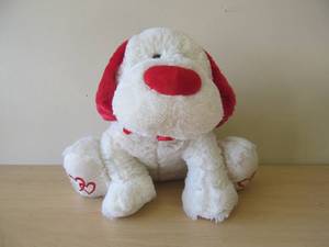 burton dog
