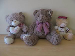bears
