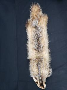 Badger Pelt