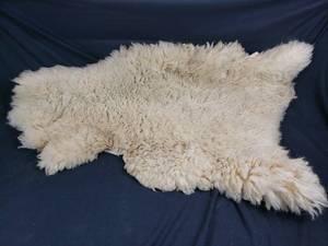 Wool Sheep Skin