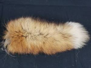 Fox Tail