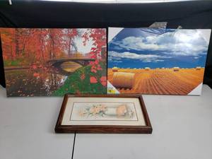 3 Pictures