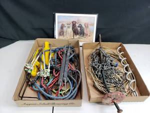 Tent Stakes, Dog Stakes and Chain, Bungees