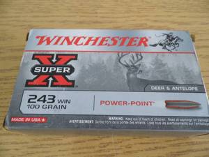 243 Winn Ammunition