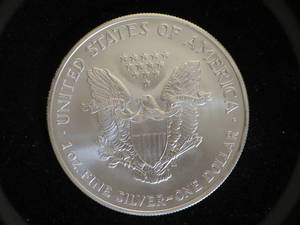 2007 $1 US Silver Eagle