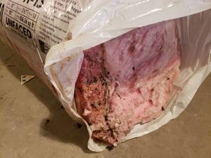 lot 6 image: 1 Bundle of Partially Damaged, Unfaced Owens Corning R-13 Insulation