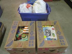2 Boxes and a Tote Full of Misc Foo...