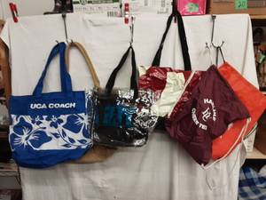 2-International Bikini Team Bags, Cheer Coach Bags & Back Sacks