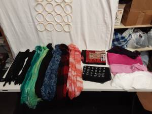 Lot Of Assorted Fashion Scarves, Formal Wraps, Elbow Length Formal Gloves & Scarf Organizer