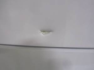 lot 161 image: Premium 7.1 cu. ft. Frost Free Top Freezer Refrigerator in White PRN7005HW