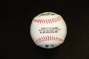 Bert Blyleven Baseball Auto