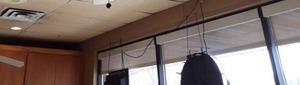 lot 35 image: 6-Roll Up Window Shades (Tan) 60x74
