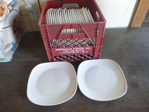25 White Dinner Plates