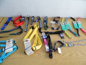Dog Leashes - Collars