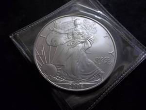 2006 US American Eagle Silver Round 1-Oz. .999 Fine
