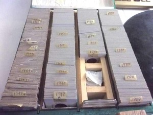 400 Lincoln Wheat Cents In 2x2 Slabs Organized By Dates 1909 To 1958