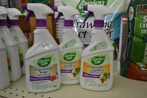 lot 220 image: (3) Bottles Garden Safe Houseplant and Inseccticidial Soap Insect Killer