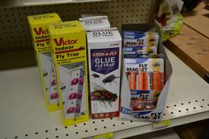 lot 243 image: Terro Fly Trap Packages, Victor Fly Traps, Stick a Fly Glue Traps