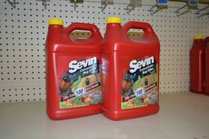 lot 266 image: (2) Jugs SEVIN Concentrate Bug Killer
