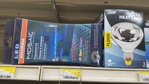 lot 1212 image: (14) Sylvania Flood Lights, Heat Lamps and More