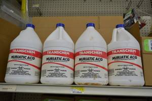 lot 1859 image: (4) 1 Gallon Muriatic Acid