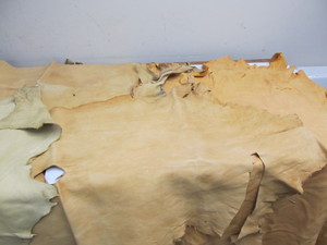 lot 126 image: Group of Genuine Buckskin Deer Hides