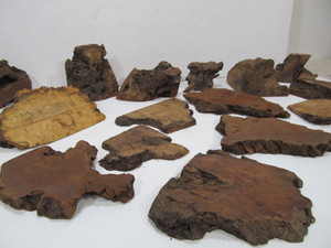 lot 263 image: Large Lot of Assorted Raw Burled & Other Wood Slabs Chunks etc
