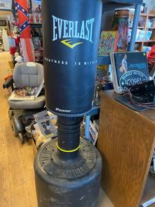 Everlast Freestanding Punching Bag