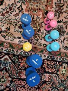 lot 78 image: Set of Hand Weights