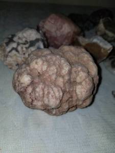 lot 99 image: Collection of Rocks and Minerals