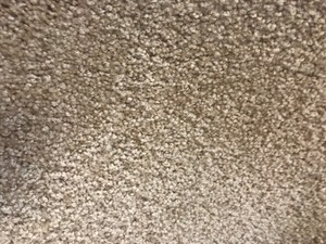 lot 150 image: 12 x 25 Mohawk Power Play Smartstrand 12 x  25