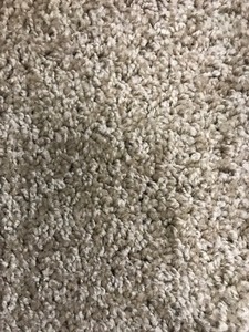 lot 148 image: 12 x 14  Dream Weaver Keystone Plus Oatmeal