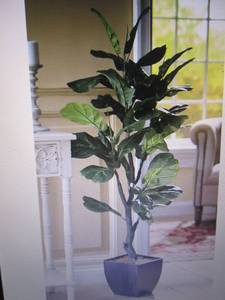 lot 82 image: Fiddle Leaf Tree open box Retail $7...