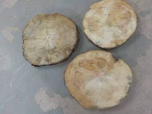 3 Wood Slabs- all about 16 wide...
