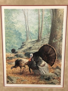 National Wild Turkey Federation Artwork, Signed  Numbered Print, Professionally Framed and Mounted