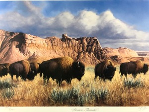 National Wild Turkey Federation Artwork Prairie Thunder, Signed  Numbered Print, Professionally Framed and Mounted