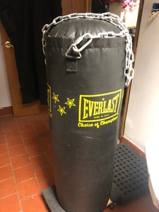 100 lb Punching Bag