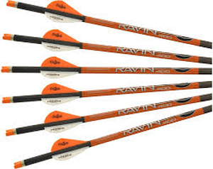 Sportsman 235