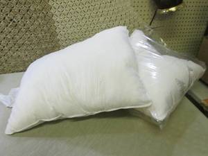 Lot of 2 Pillows  D-1T...