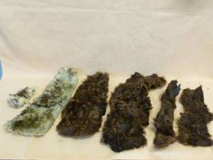 Vintage Fur Pelts